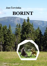 Borint